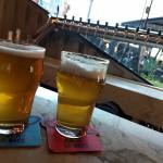 Safado tarados de cwb