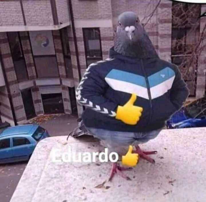 Eduardo