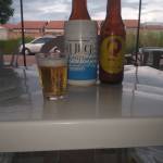 Mario Costa Barcelos