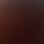 Davi Nunes dos Santos