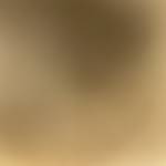 Adriel Dos Santos Coelho Delfino