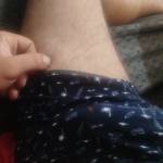 Pausudo novinho