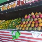 mirandaribeiro_43@hotmail.com