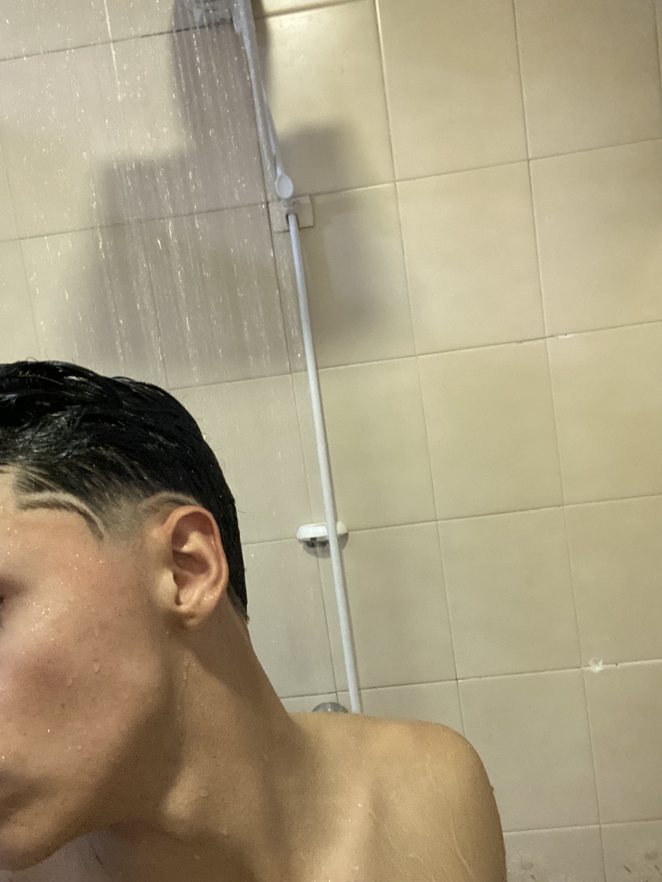 Novinho_d21