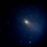 Pedro Henrique Henrique
