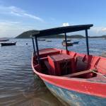 Miragaia
