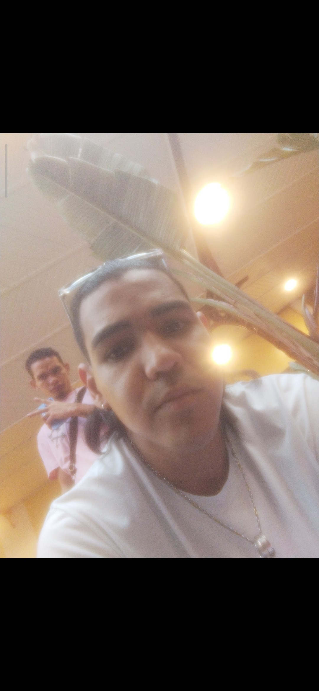 Luis Centeno