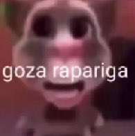 bruno foda