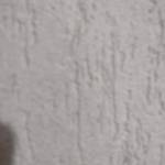 Novinho_bundudo