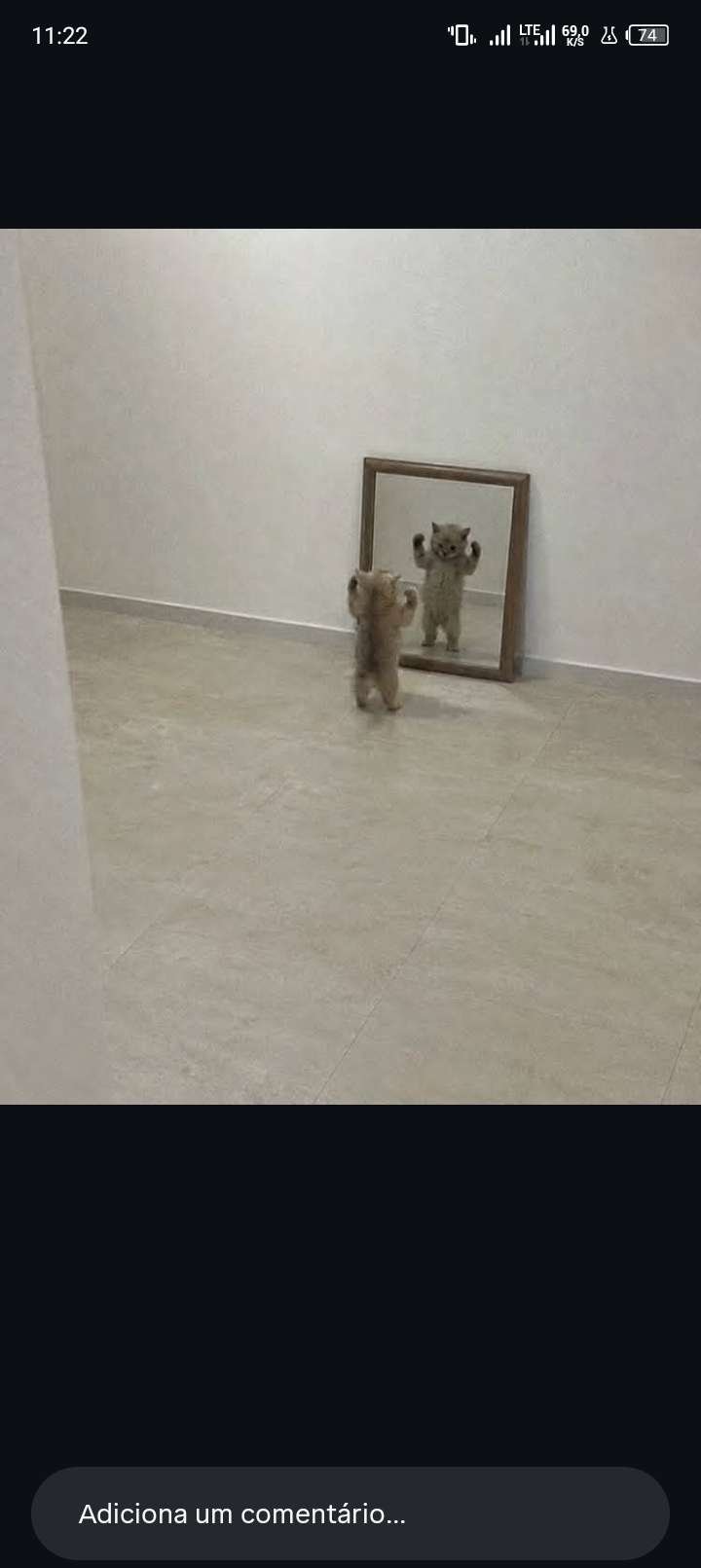 Gomes