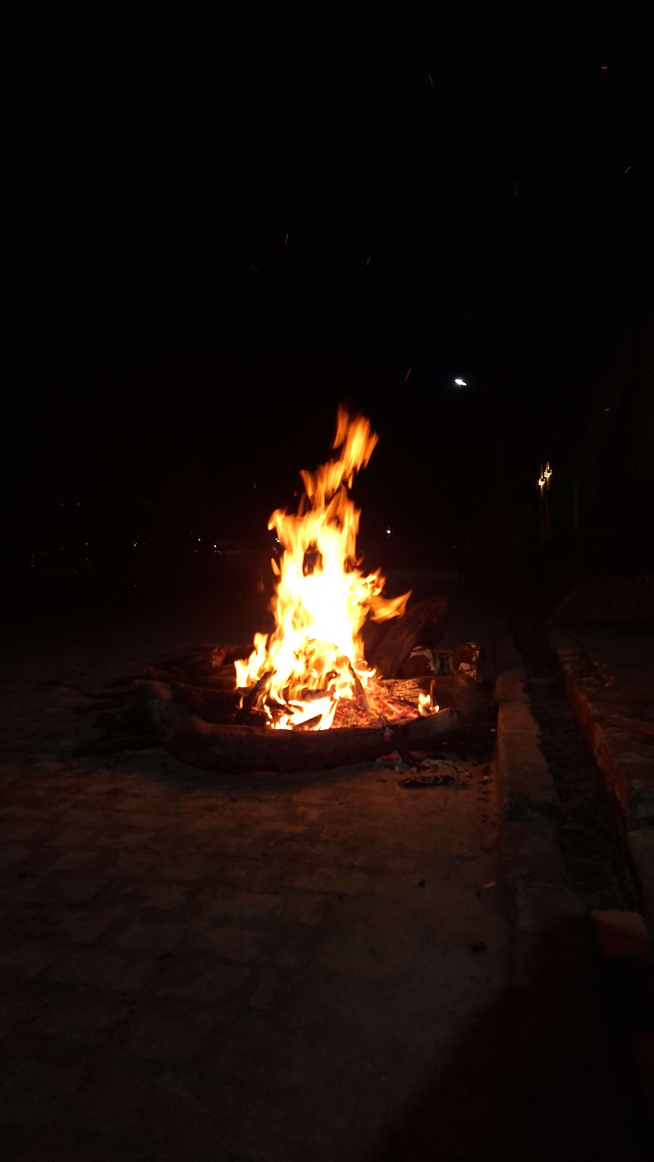 Testes