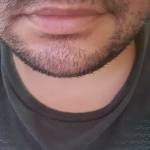 Chacal fox
