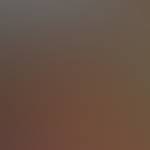 Pedro Arthur Vieira Lima