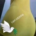 Levi silva