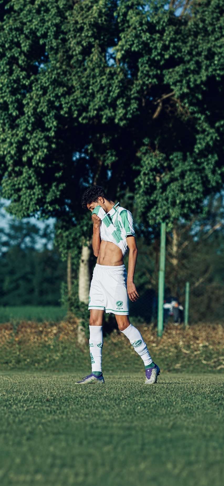 luiz fernando frança almeida