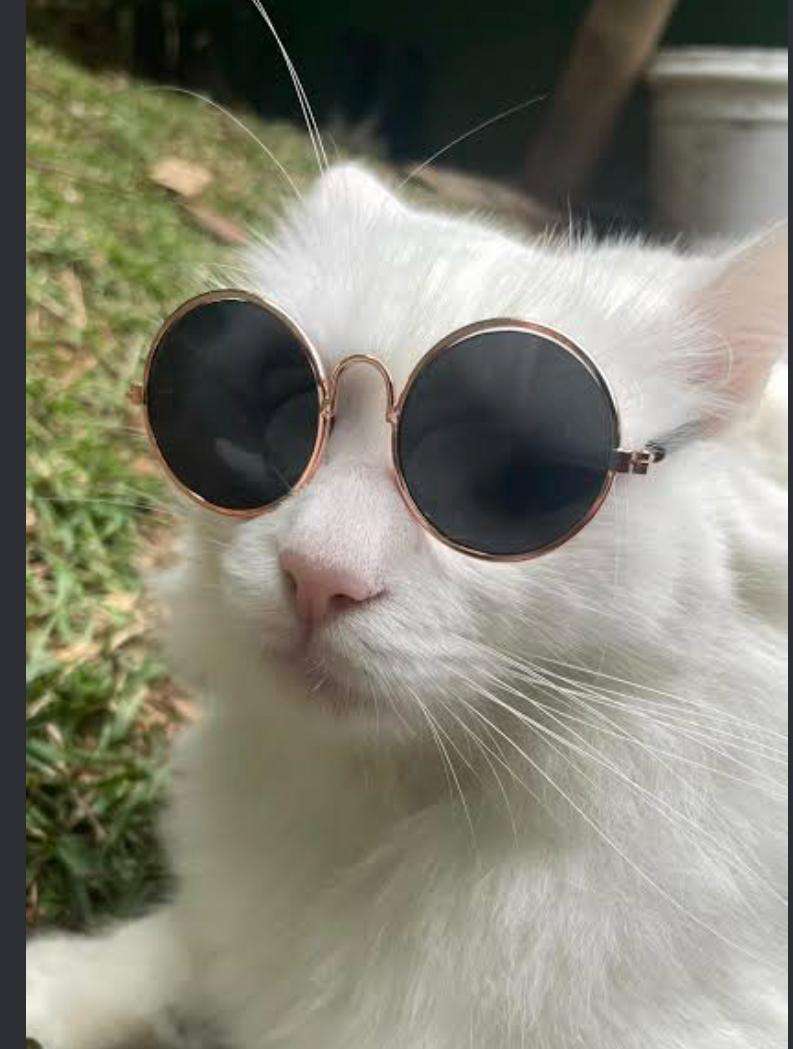 Júnior