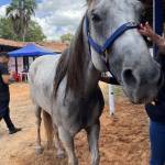 Kzz.vendas5