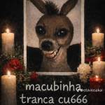 Saulo